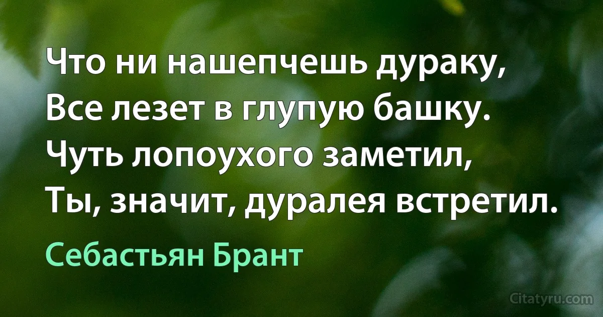 Что ни нашепчешь дураку,
Все лезет в глупую башку.
Чуть лопоухого заметил,
Ты, значит, дуралея встретил. (Себастьян Брант)