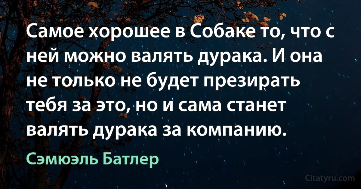 Самое хорошее в Собаке то, что с ней можно валять дурака. И она не только не будет презирать тебя за это, но и сама станет валять дурака за компанию. (Сэмюэль Батлер)