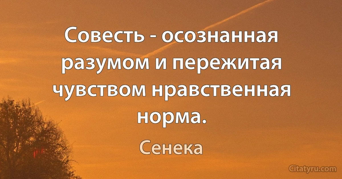 Совесть - осознанная разумом и пережитая чувством нравственная норма. (Сенека)