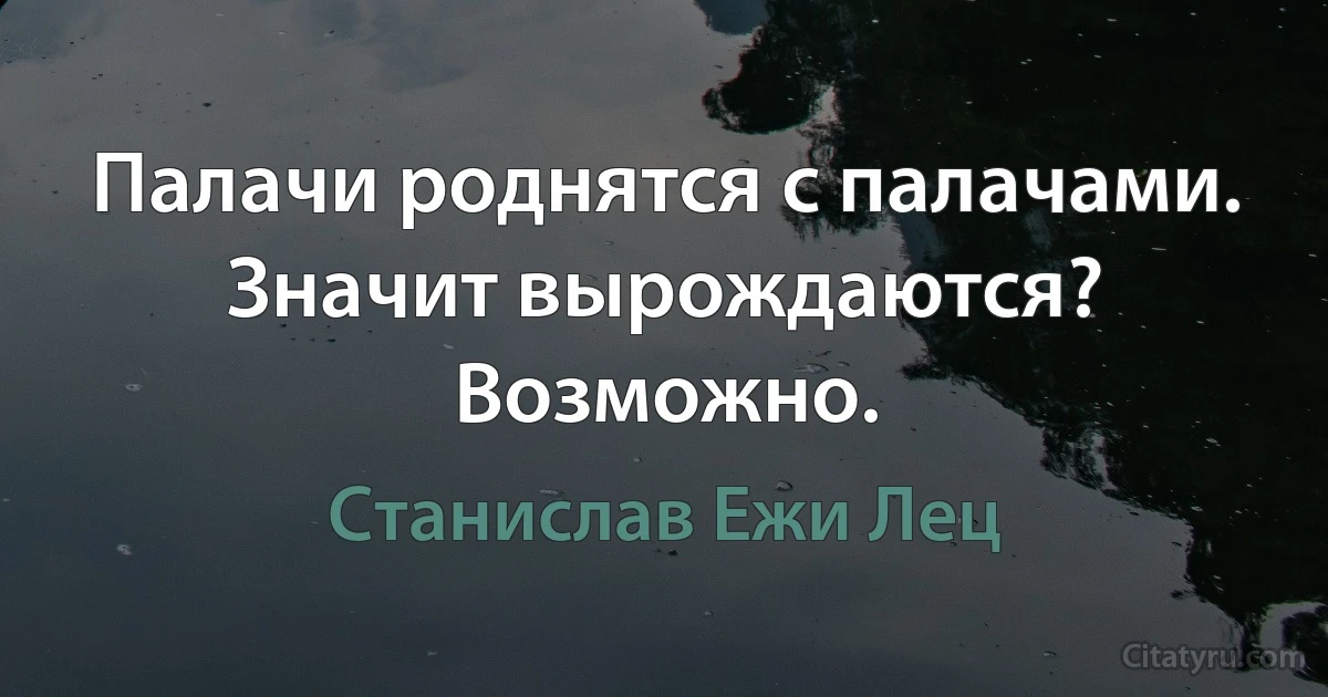 Палачи роднятся с палачами. Значит вырождаются? Возможно. (Станислав Ежи Лец)