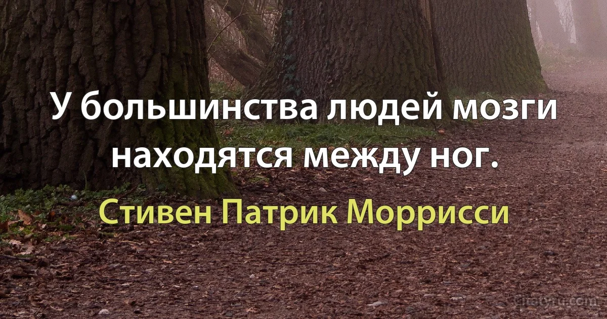 У большинства людей мозги находятся между ног. (Стивен Патрик Моррисси)