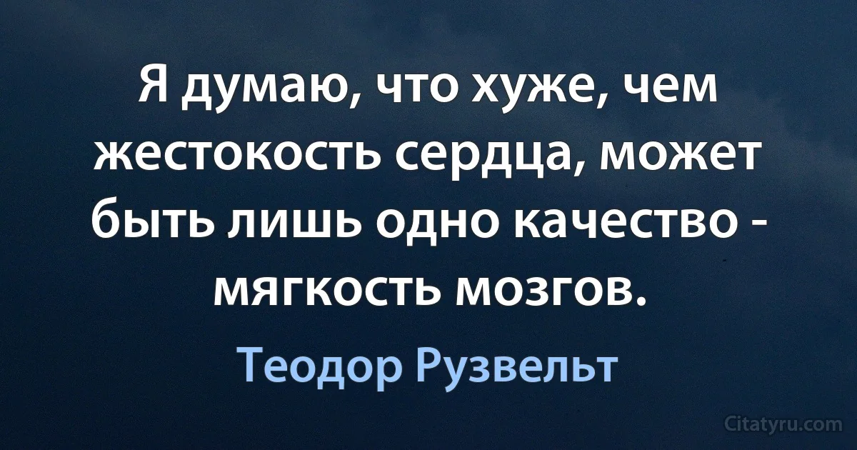 Я думаю, что хуже, чем жестокость сердца, может быть лишь одно качество - мягкость мозгов. (Теодор Рузвельт)