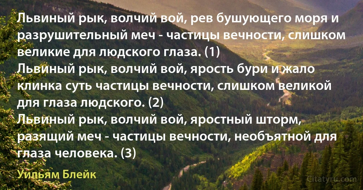 Львиный рык, волчий вой, рев бушующего моря и разрушительный меч - частицы вечности, слишком великие для людского глаза. (1)
Львиный рык, волчий вой, ярость бури и жало клинка суть частицы вечности, слишком великой для глаза людского. (2)
Львиный рык, волчий вой, яростный шторм, разящий меч - частицы вечности, необъятной для глаза человека. (3) (Уильям Блейк)