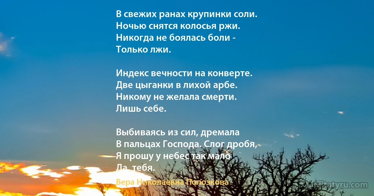 В свежих ранах крупинки соли. 
Ночью снятся колосья ржи. 
Никогда не боялась боли - 
Только лжи. 

Индекс вечности на конверте. 
Две цыганки в лихой арбе. 
Никому не желала смерти. 
Лишь себе. 

Выбиваясь из сил, дремала 
В пальцах Господа. Слог дробя, 
Я прошу у небес так мало 
Да, тебя. (Вера Николаевна Полозкова)