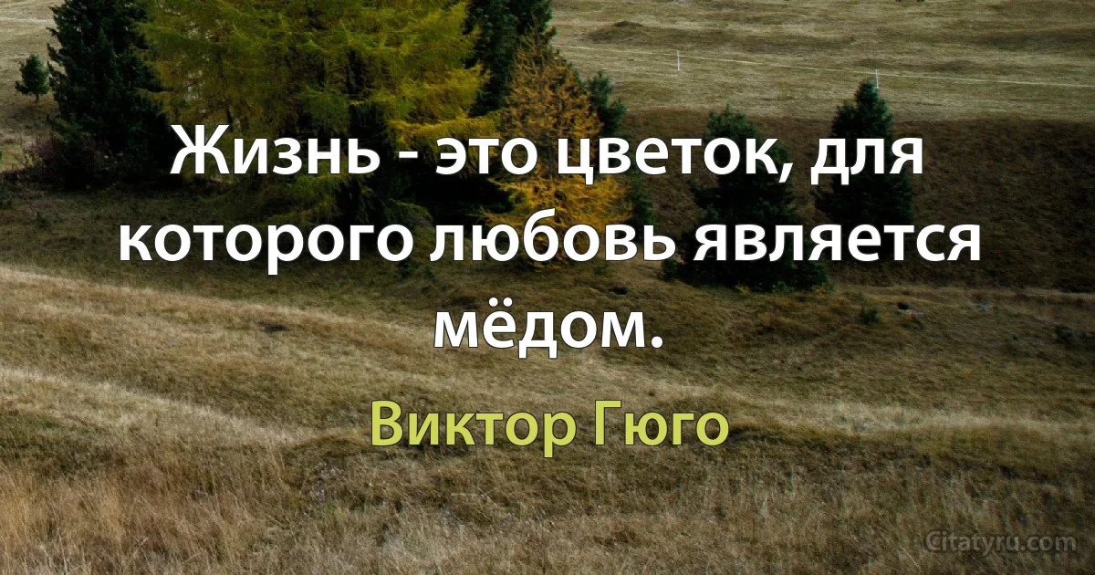 Жизнь - это цветок, для которого любовь является мёдом. (Виктор Гюго)