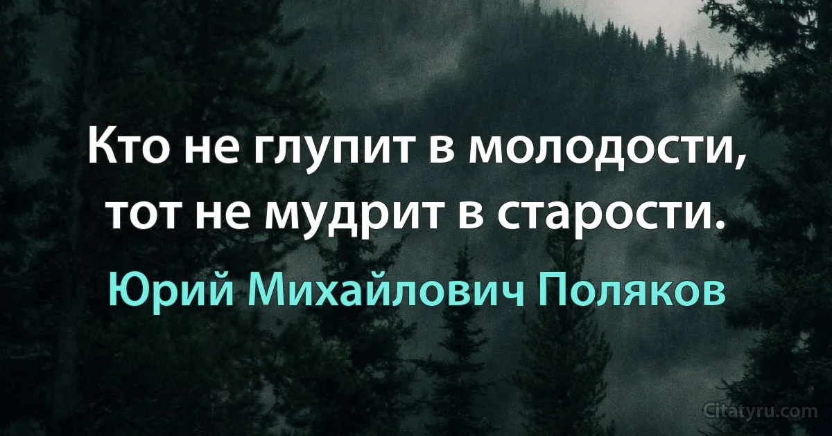 Кто не глупит в молодости, тот не мудрит в старости. (Юрий Михайлович Поляков)