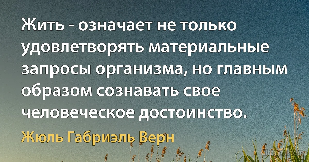 Жить - означает не только удовлетворять материальные запросы организма, но главным образом сознавать свое человеческое достоинство. (Жюль Габриэль Верн)