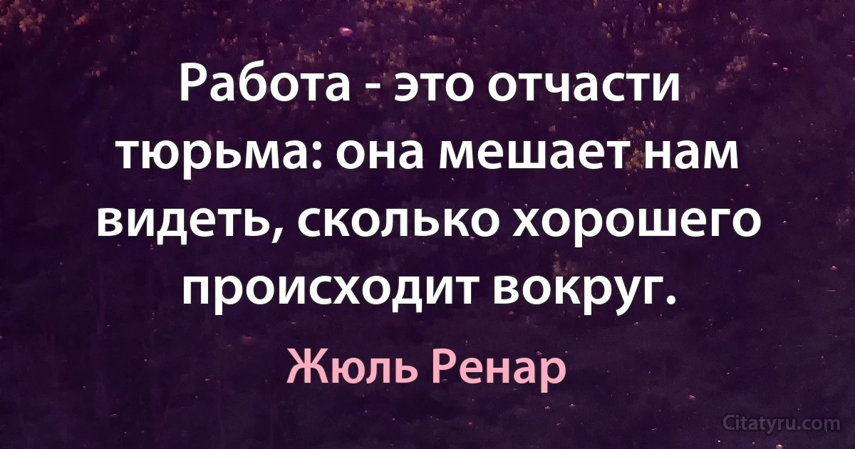 Работа - это отчасти тюрьма: она мешает нам видеть, сколько хорошего происходит вокруг. (Жюль Ренар)