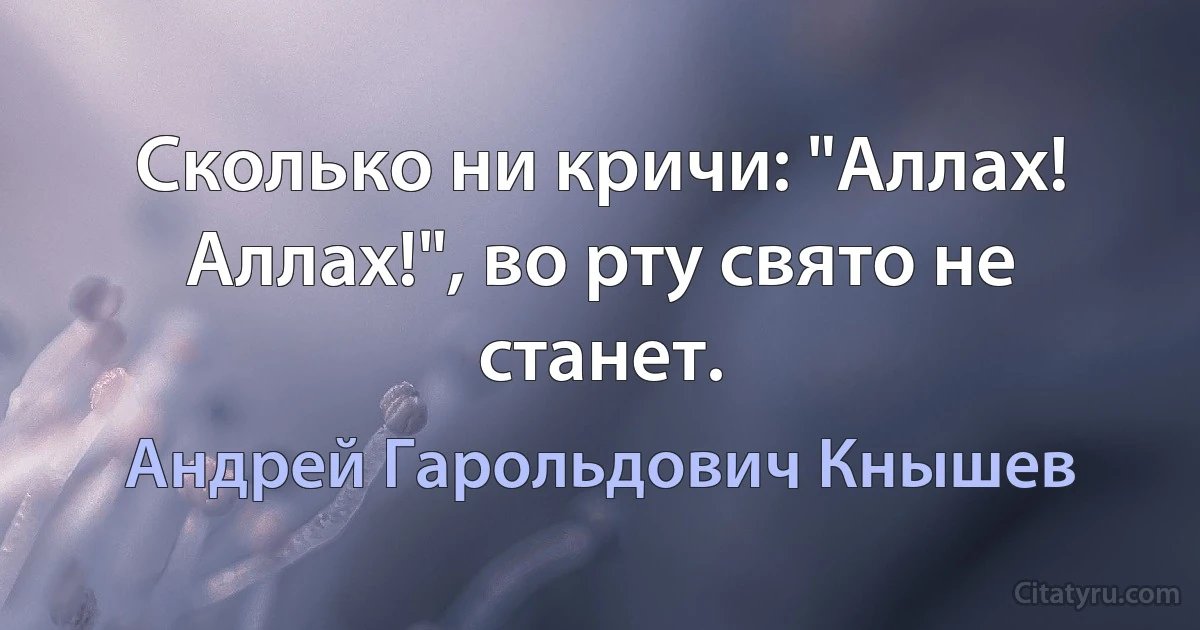 Сколько ни кричи: "Аллах! Аллах!", во рту свято не станет. (Андрей Гарольдович Кнышев)