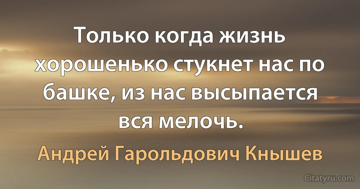 Только когда жизнь хорошенько стукнет нас по башке, из нас высыпается вся мелочь. (Андрей Гарольдович Кнышев)