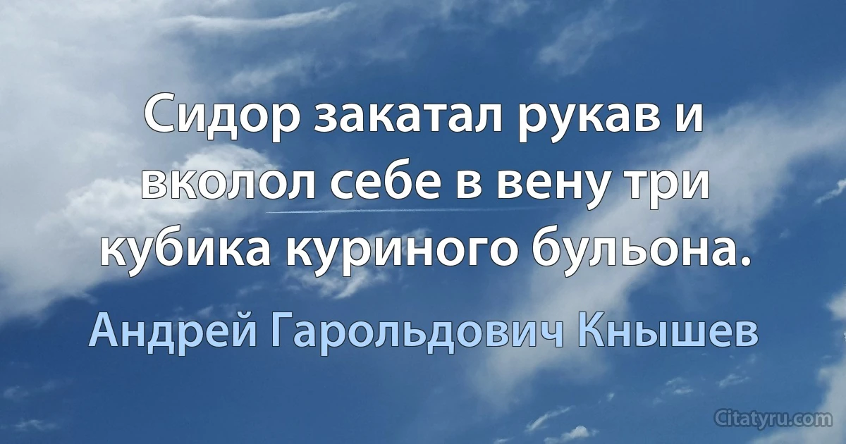 Сидор закатал рукав и вколол себе в вену три кубика куриного бульона. (Андрей Гарольдович Кнышев)