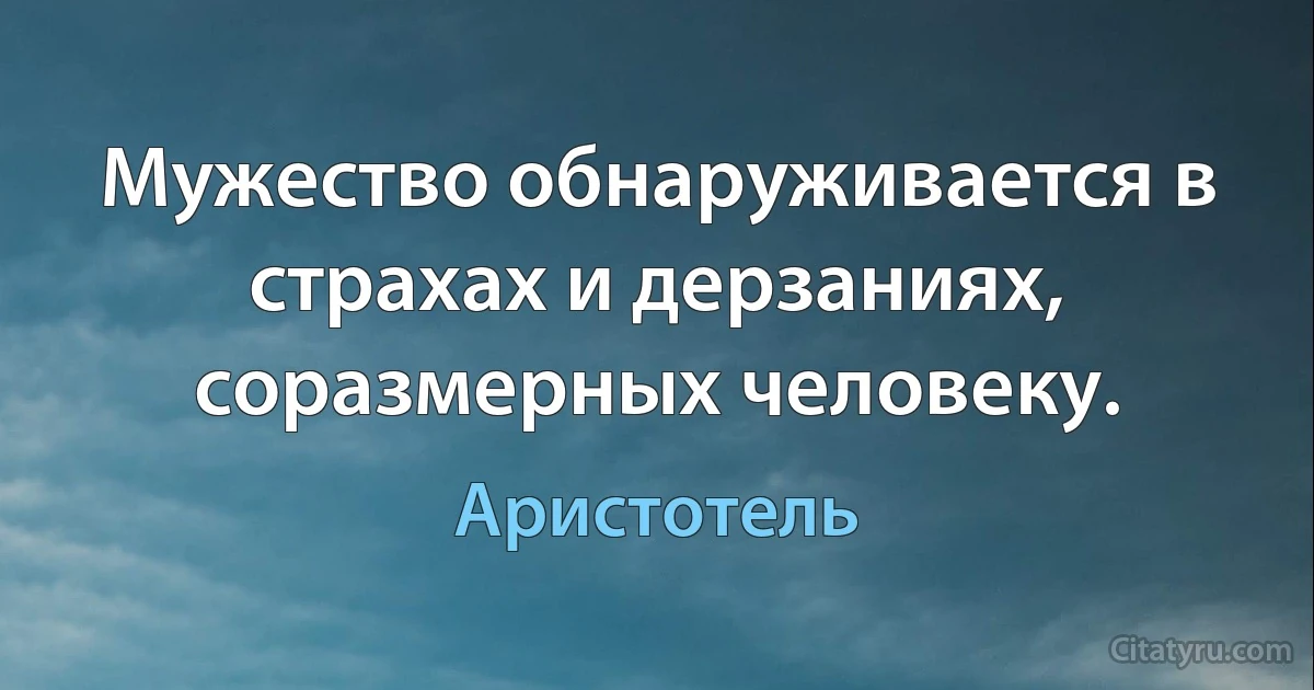 Мужество обнаруживается в страхах и дерзаниях, соразмерных человеку. (Аристотель)