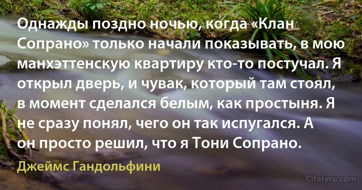 Однажды поздно ночью, когда «Клан Сопрано» только начали показывать, в мою манхэттенскую квартиру кто-то постучал. Я открыл дверь, и чувак, который там стоял, в момент сделался белым, как простыня. Я не сразу понял, чего он так испугался. А он просто решил, что я Тони Сопрано. (Джеймс Гандольфини)