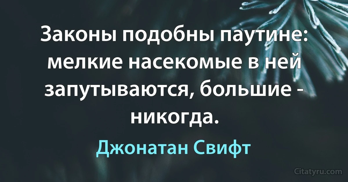 Законы подобны паутине: мелкие насекомые в ней запутываются, большие - никогда. (Джонатан Свифт)