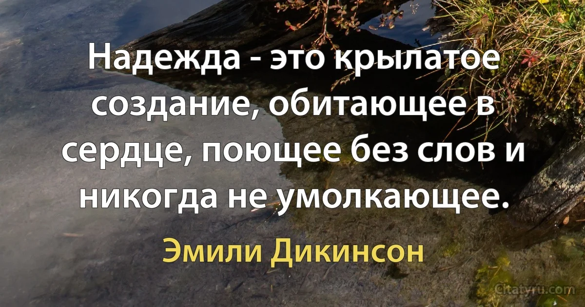 Надежда - это крылатое создание, обитающее в сердце, поющее без слов и никогда не умолкающее. (Эмили Дикинсон)