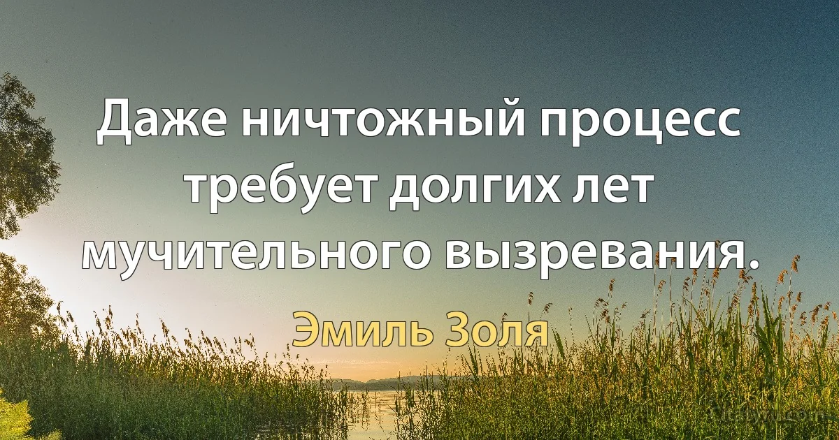 Даже ничтожный процесс требует долгих лет мучительного вызревания. (Эмиль Золя)