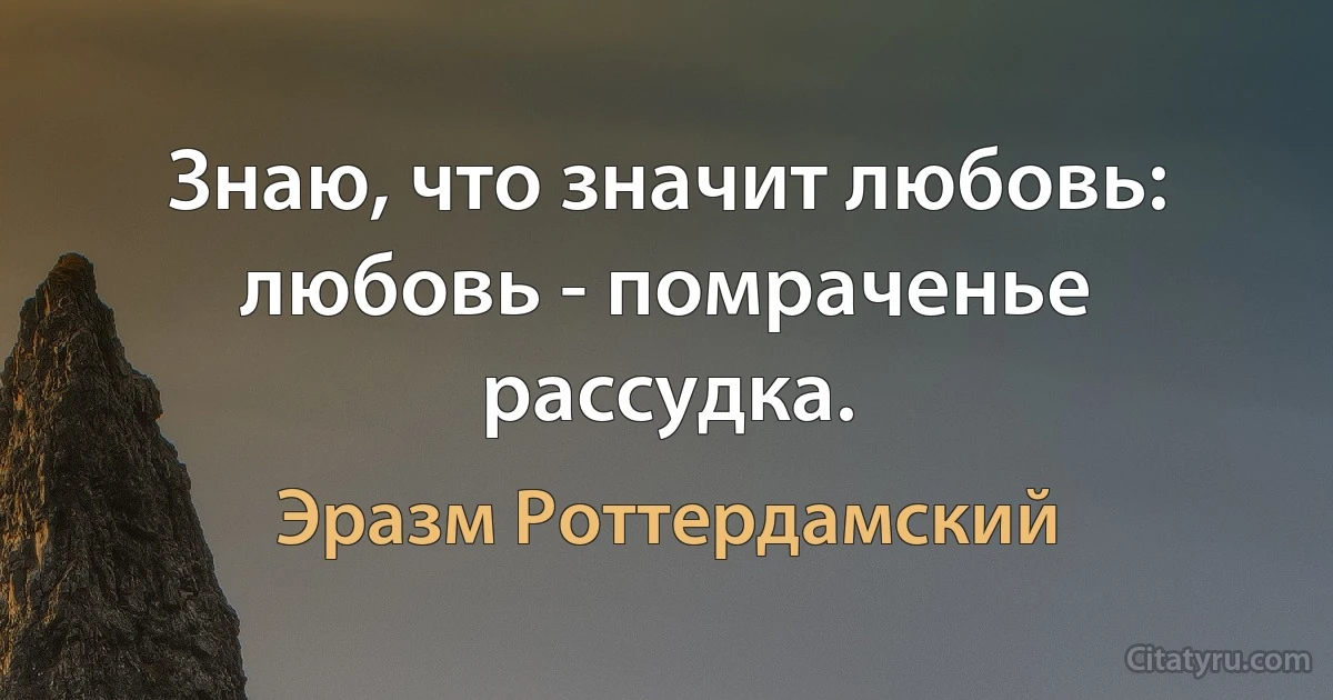 Знаю, что значит любовь: любовь - помраченье рассудка. (Эразм Роттердамский)