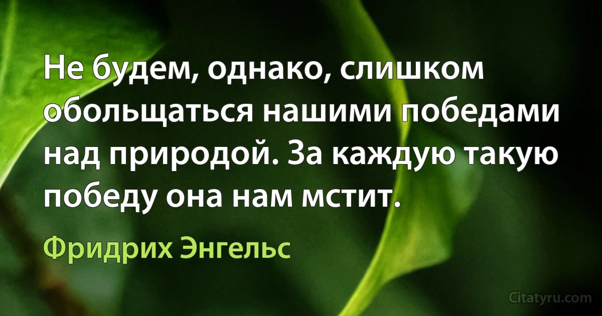 Не будем, однако, слишком обольщаться нашими победами над природой. За каждую такую победу она нам мстит. (Фридрих Энгельс)