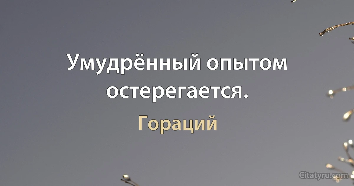 Умудрённый опытом остерегается. (Гораций)