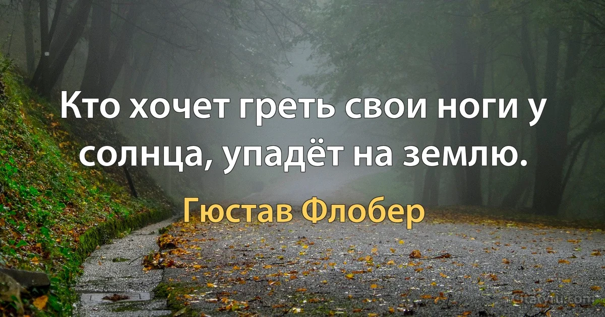 Кто хочет греть свои ноги у солнца, упадёт на землю. (Гюстав Флобер)