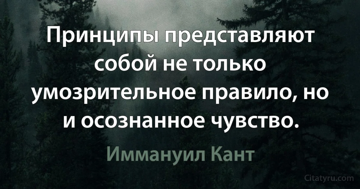 Принципы представляют собой не только умозрительное правило, но и осознанное чувство. (Иммануил Кант)