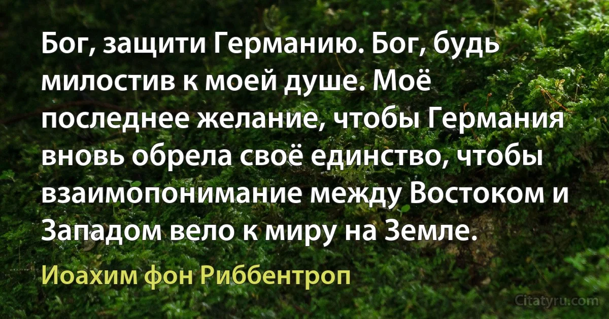 Бог, защити Германию. Бог, будь милостив к моей душе. Моё последнее желание, чтобы Германия вновь обрела своё единство, чтобы взаимопонимание между Востоком и Западом вело к миру на Земле. (Иоахим фон Риббентроп)