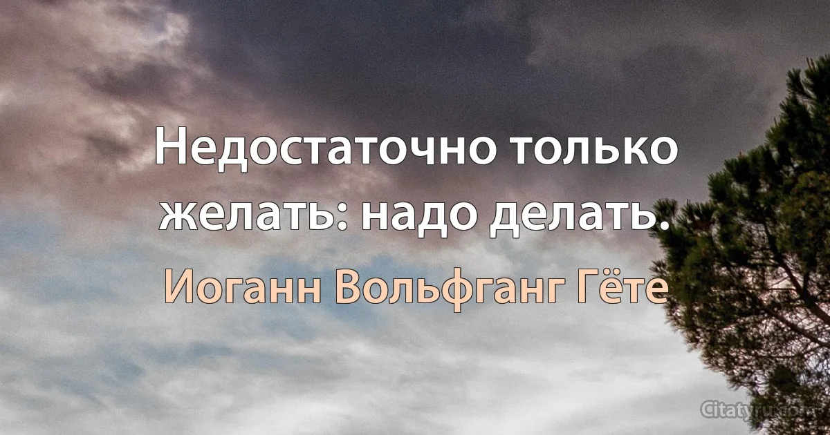 Недостаточно только желать: надо делать. (Иоганн Вольфганг Гёте)