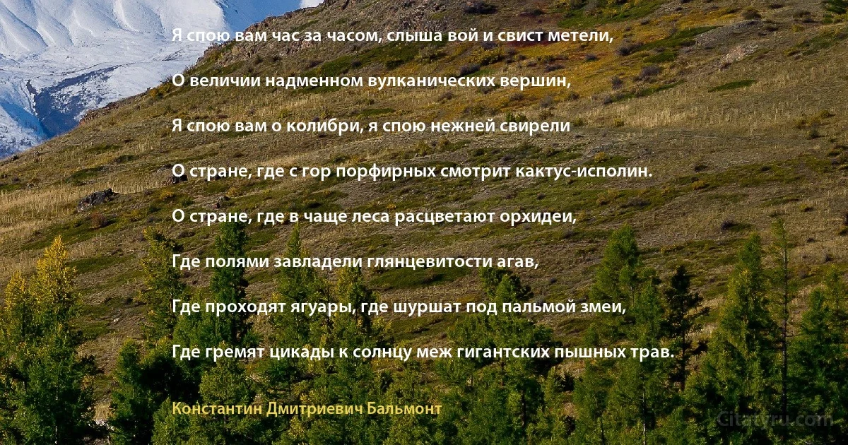 Я спою вам час за часом, слыша вой и свист метели,

О величии надменном вулканических вершин,

Я спою вам о колибри, я спою нежней свирели

О стране, где с гор порфирных смотрит кактус-исполин.

О стране, где в чаще леса расцветают орхидеи,

Где полями завладели глянцевитости агав,

Где проходят ягуары, где шуршат под пальмой змеи,

Где гремят цикады к солнцу меж гигантских пышных трав. (Константин Дмитриевич Бальмонт)