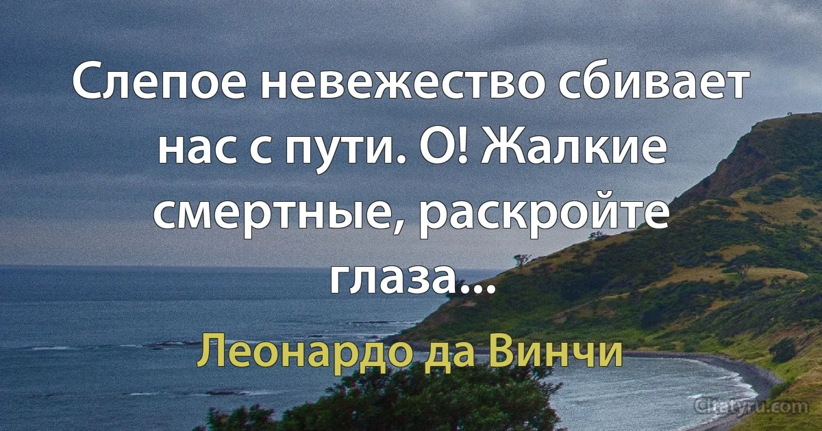 Слепое невежество сбивает нас с пути. О! Жалкие смертные, раскройте глаза... (Леонардо да Винчи)