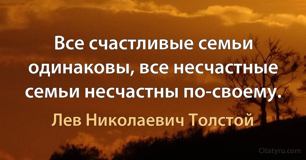 Все счастливые семьи одинаковы, все несчастные семьи несчастны по-своему. (Лев Николаевич Толстой)