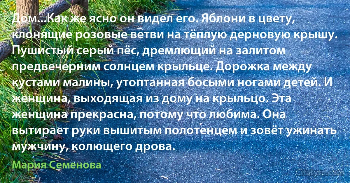 Дом...Как же ясно он видел его. Яблони в цвету, клонящие розовые ветви на тёплую дерновую крышу. Пушистый серый пёс, дремлющий на залитом предвечерним солнцем крыльце. Дорожка между кустами малины, утоптанная босыми ногами детей. И женщина, выходящая из дому на крыльцо. Эта женщина прекрасна, потому что любима. Она вытирает руки вышитым полотенцем и зовёт ужинать мужчину, колющего дрова. (Мария Семенова)