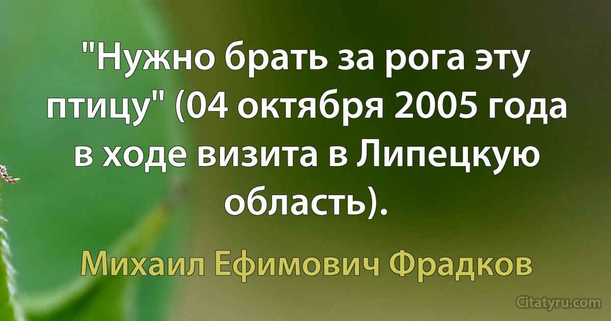 "Нужно брать за рога эту птицу" (04 октября 2005 года в ходе визита в Липецкую область). (Михаил Ефимович Фрадков)