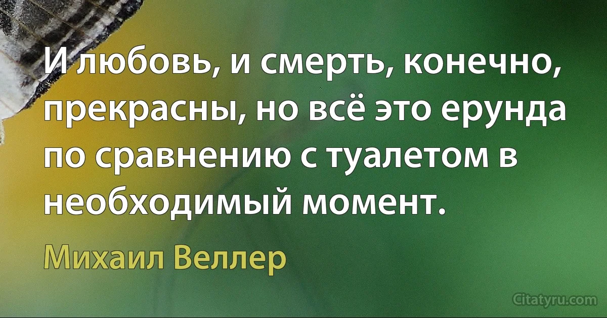 И любовь, и смерть, конечно, прекрасны, но всё это ерунда по сравнению с туалетом в необходимый момент. (Михаил Веллер)