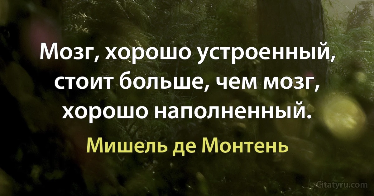 Мозг, хорошо устроенный, стоит больше, чем мозг, хорошо наполненный. (Мишель де Монтень)