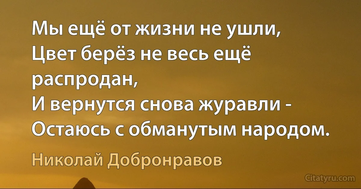 Мы ещё от жизни не ушли,
Цвет берёз не весь ещё распродан,
И вернутся снова журавли -
Остаюсь с обманутым народом. (Николай Добронравов)