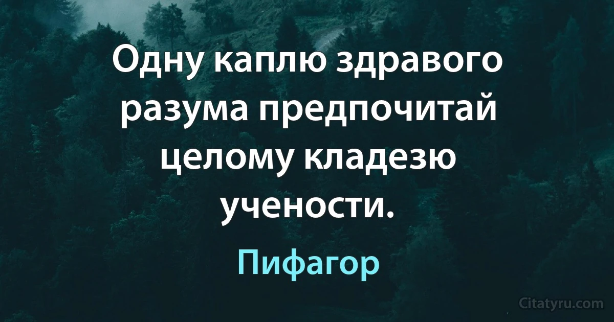 Одну каплю здравого разума предпочитай целому кладезю учености. (Пифагор)