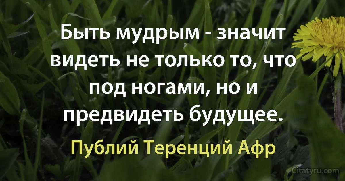 Быть мудрым - значит видеть не только то, что под ногами, но и предвидеть будущее. (Публий Теренций Афр)