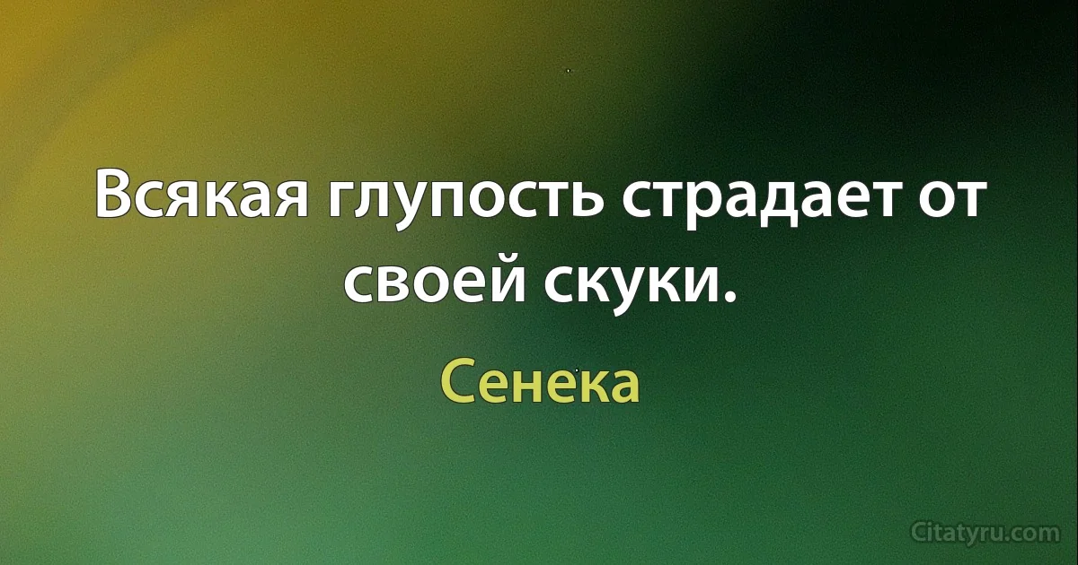 Всякая глупость страдает от своей скуки. (Сенека)