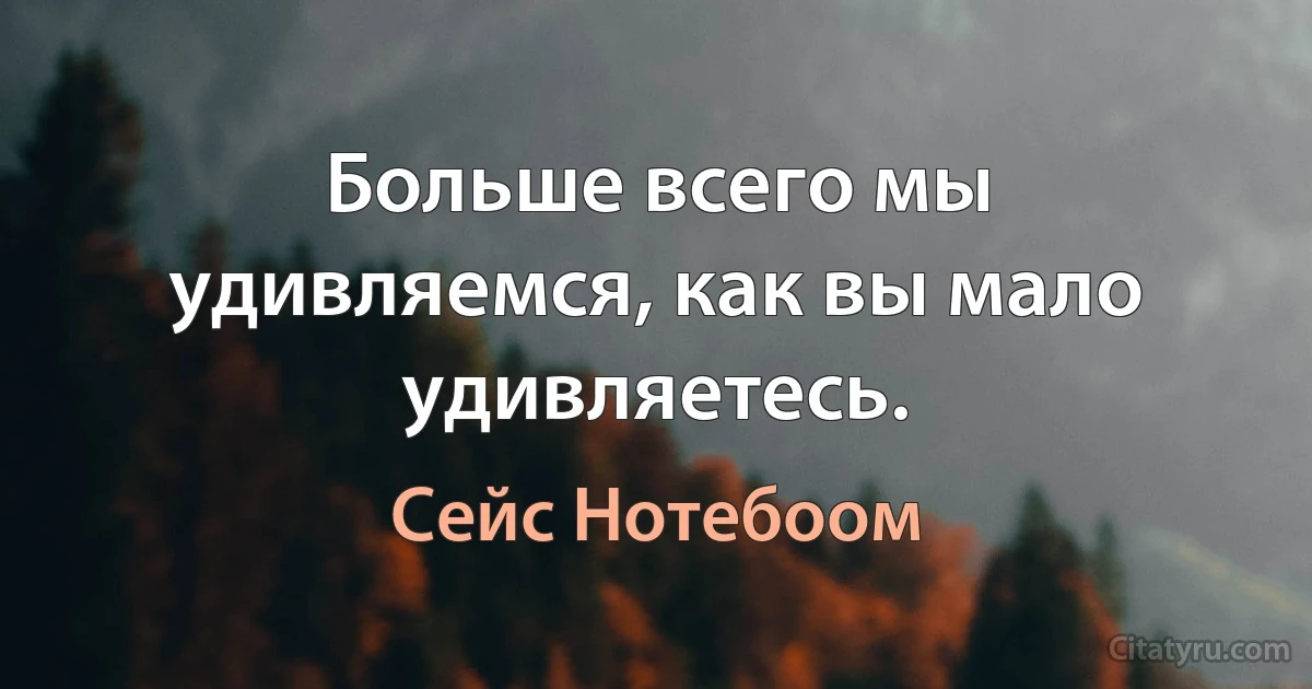 Больше всего мы удивляемся, как вы мало удивляетесь. (Сейс Нотебоом)