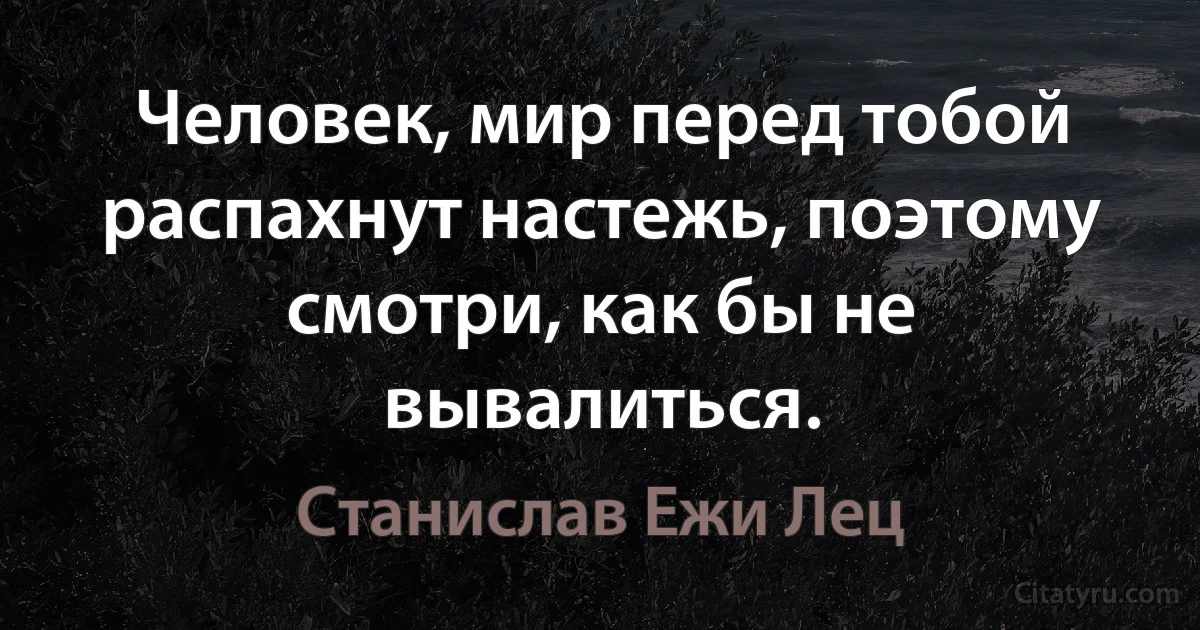 Человек, мир перед тобой распахнут настежь, поэтому смотри, как бы не вывалиться. (Станислав Ежи Лец)