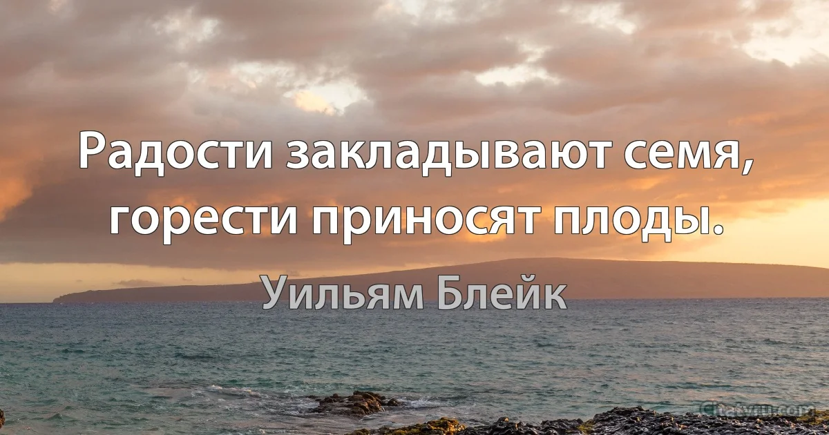 Радости закладывают семя, горести приносят плоды. (Уильям Блейк)