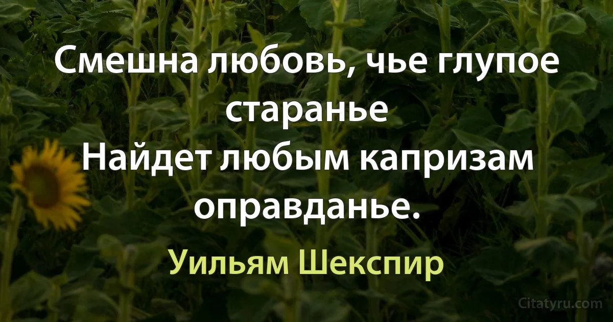 Смешна любовь, чье глупое старанье
Найдет любым капризам оправданье. (Уильям Шекспир)