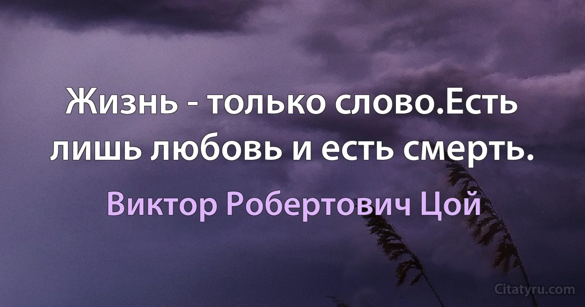 Жизнь - только слово.Есть лишь любовь и есть смерть. (Виктор Робертович Цой)