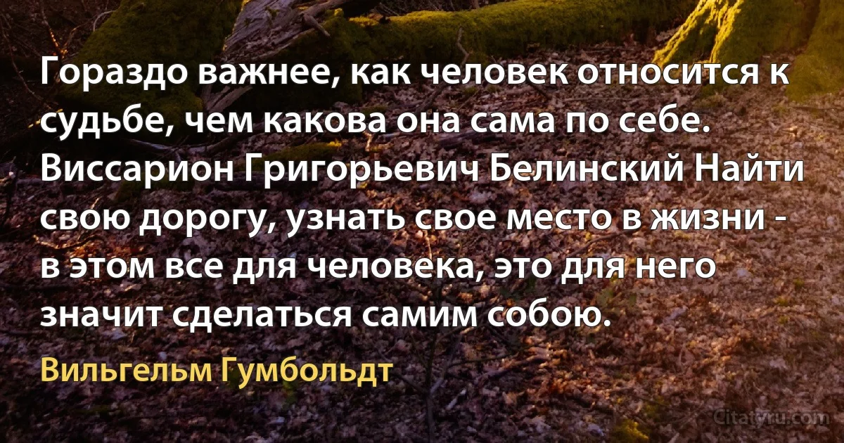 Гораздо важнее, как человек относится к судьбе, чем какова она сама по себе. Виссарион Григорьевич Белинский Найти свою дорогу, узнать свое место в жизни - в этом все для человека, это для него значит сделаться самим собою. (Вильгельм Гумбольдт)