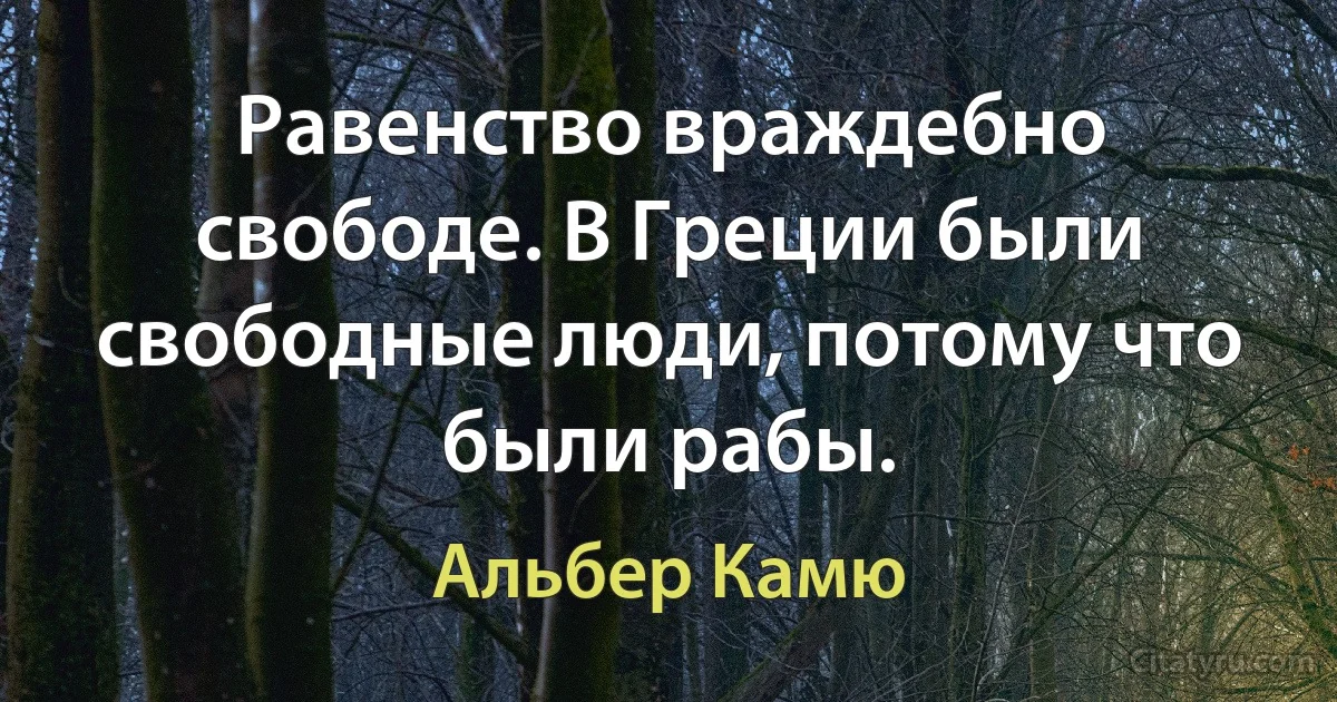 Равенство враждебно свободе. В Греции были свободные люди, потому что были рабы. (Альбер Камю)