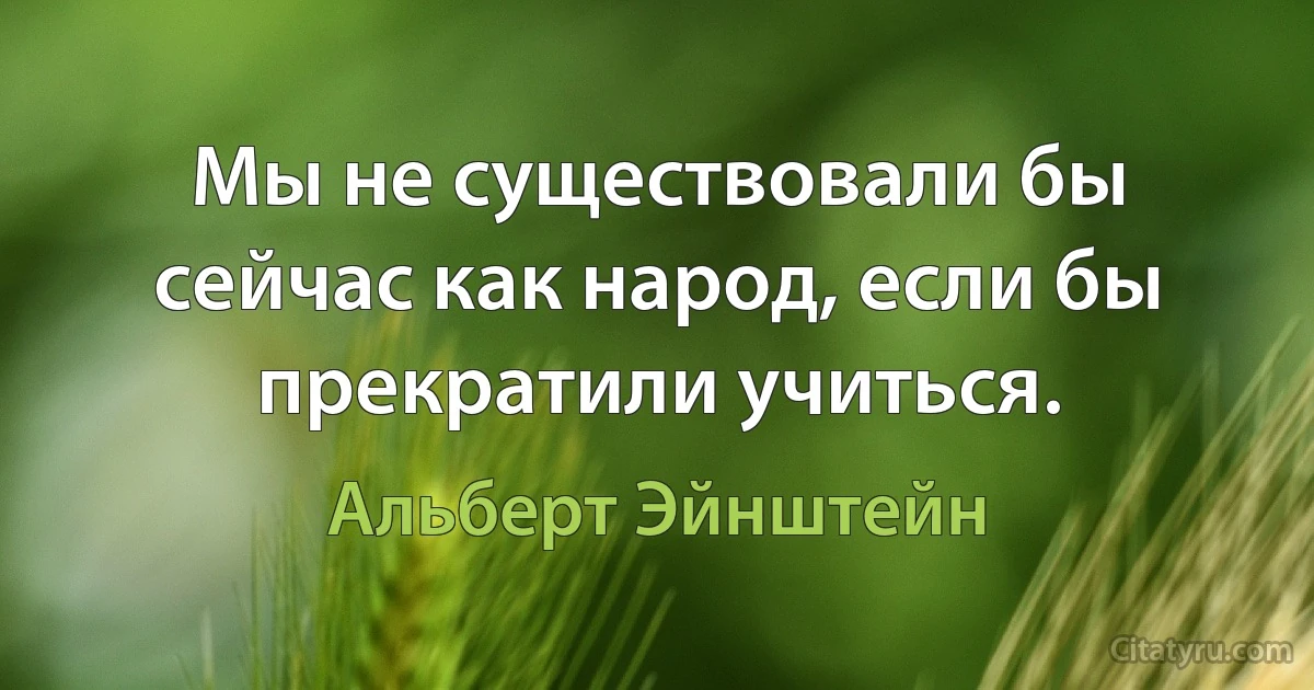 Мы не существовали бы сейчас как народ, если бы прекратили учиться. (Альберт Эйнштейн)