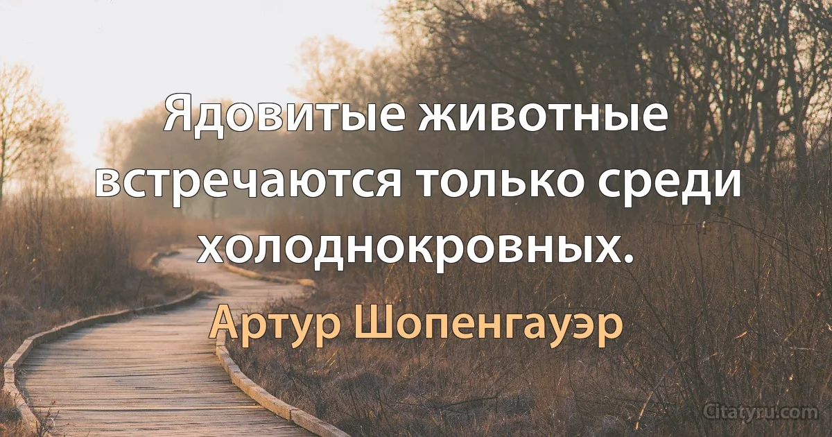 Ядовитые животные встречаются только среди холоднокровных. (Артур Шопенгауэр)