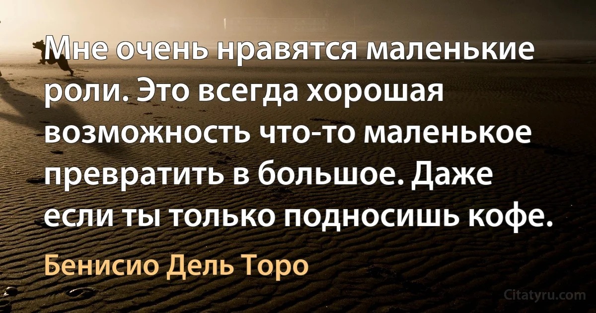 Мне очень нравятся маленькие роли. Это всегда хорошая возможность что-то маленькое превратить в большое. Даже если ты только подносишь кофе. (Бенисио Дель Торо)