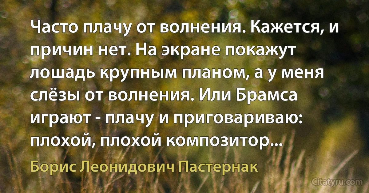 Часто плачу от волнения. Кажется, и причин нет. На экране покажут лошадь крупным планом, а у меня слёзы от волнения. Или Брамса играют - плачу и приговариваю: плохой, плохой композитор... (Борис Леонидович Пастернак)