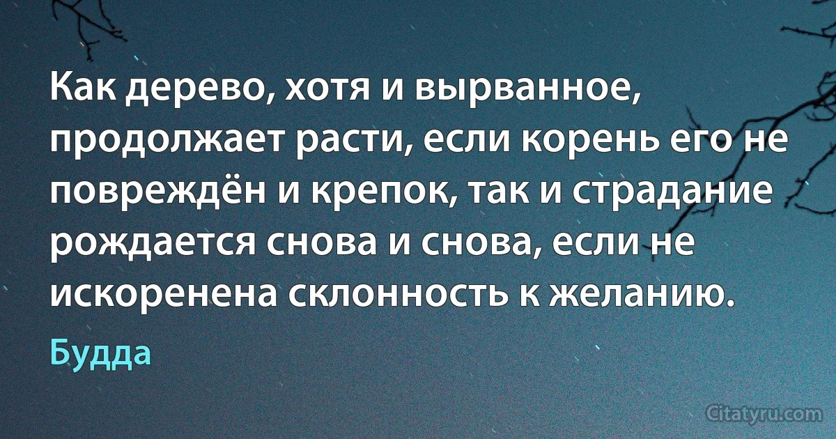 Как дерево, хотя и вырванное, продолжает расти, если корень его не повреждён и крепок, так и страдание рождается снова и снова, если не искоренена склонность к желанию. (Будда)